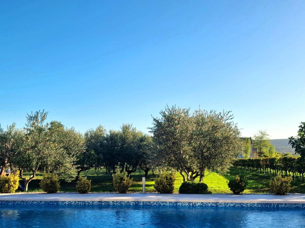 Villa Lorema-Pet Friendly On 5000 Sqm Garden,Pool, Jacuzzi, Billiard&Ps5 圣菲利普雅科夫 外观 照片